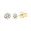 Fiora 1 Earrings