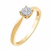 Apolline M