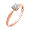 Apolline M