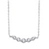 Drop S Necklace